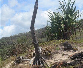 Chinamans Beach Evans Head - Kawana Tourism 2