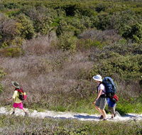 Yuraygir coastal walk - Kawana Tourism