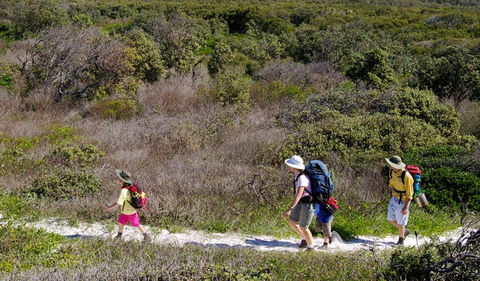 Yuraygir Coastal Walk - Kawana Tourism 0