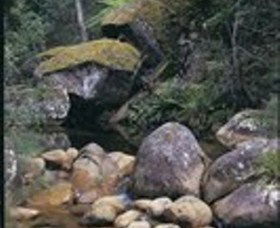 Mumbulla Creek Falls And Picnic Area - Kawana Tourism 1