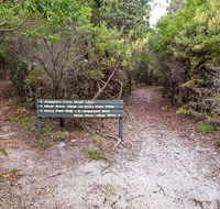 Angophora grove walking track - Kawana Tourism