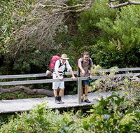 Wilsons Headland walking track - Kawana Tourism