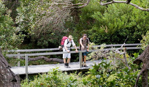 Wilsons Headland Walking Track - Kawana Tourism 0