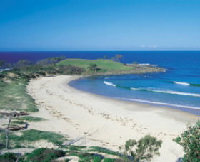 Angourie Beach - Kawana Tourism 1