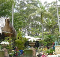 Diamond Waters Garden Nursery - Kawana Tourism