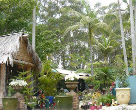 Diamond Waters Garden Nursery - Kawana Tourism 0