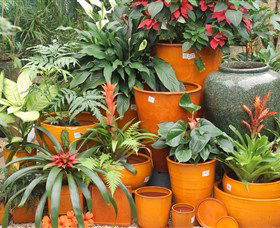 Diamond Waters Garden Nursery - Kawana Tourism 1