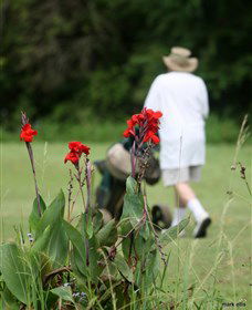 Teven Valley Golf Course - Kawana Tourism 3