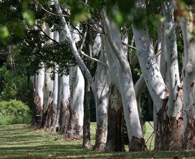 Teven Valley Golf Course - Kawana Tourism 1