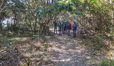 Brunswick Heads Nature Reserve - Kawana Tourism 3