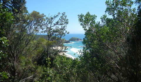 Jack Perkins Walking Track - Kawana Tourism 1