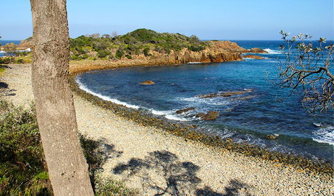 Mimosa Rocks Walking Track - Kawana Tourism 2
