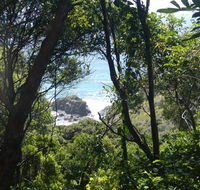 Rainforest walking track - Kawana Tourism