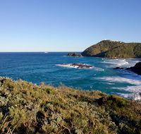 Smoky Cape walking track - Kawana Tourism