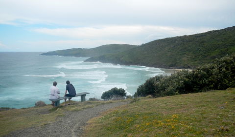 Connors Walking Track - Kawana Tourism 3
