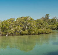 Tyagarah Nature Reserve - Kawana Tourism