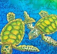 Sea Silks Gallery - Kawana Tourism