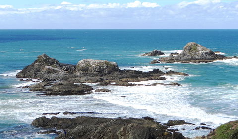 Broken Head Nature Reserve - Kawana Tourism 3