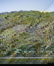 Ben Boyd National Park - Kawana Tourism 5
