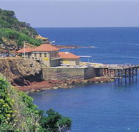 Merimbula Aquarium - Kawana Tourism