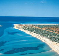 Monkey Mia - Kawana Tourism