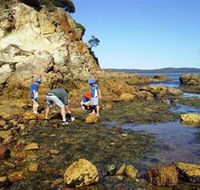 Sapphire Coast Marine Discovery Centre - Kawana Tourism
