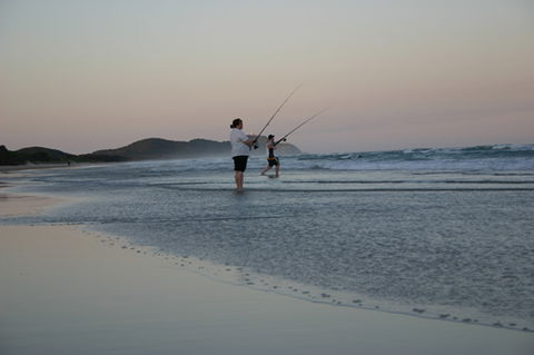 Cape Byron Marine Park - Kawana Tourism 2