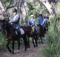 Mirravale Horse Riding School - Kawana Tourism