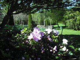 Annsleigh Gardens And Cafe - Kawana Tourism 3