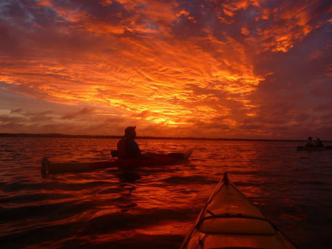 Canoe The Coorong - Kawana Tourism 4