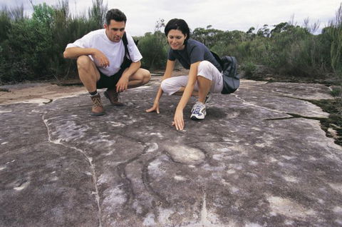 Sydney Coast Walks - Kawana Tourism 3