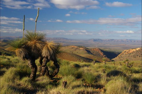 4WD Aussie Outback Adventures - Kawana Tourism 1