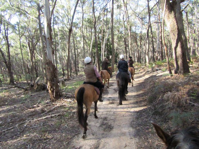 Spring Hill VIC Kawana Tourism