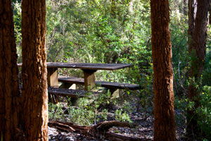 Karrak Reach Forest Retreat - Kawana Tourism 1