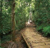 Lake Barrine Circuit Track Crater Lakes National Park - Kawana Tourism