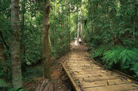 Lake Barrine Circuit Track, Crater Lakes National Park - Kawana Tourism 1