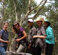 Echidna Walkabout Nature Tours - Kawana Tourism