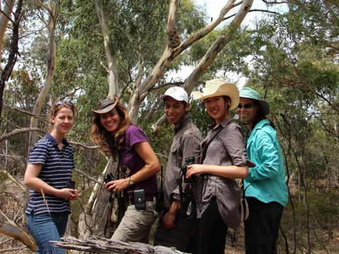 Echidna Walkabout Nature Tours - Kawana Tourism 1