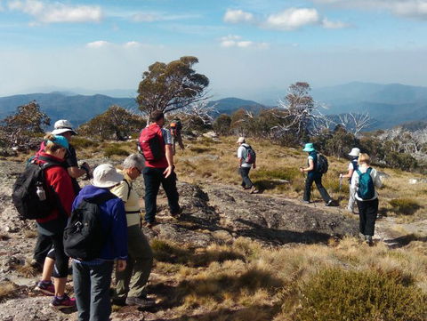Hedonistic Hiking - Kawana Tourism 0