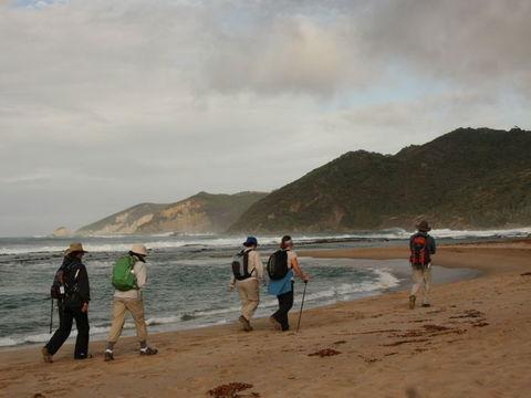 Hedonistic Hiking - Kawana Tourism 2