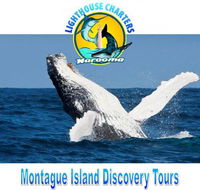 Lighthouse Charters Narooma - Kawana Tourism