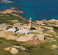 Naturewise Montague Island Nature Escape - Kawana Tourism