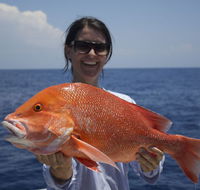 Absolute Ocean Charters - Kawana Tourism
