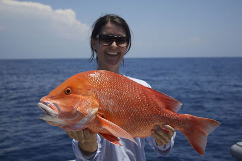 Absolute Ocean Charters - Kawana Tourism 3