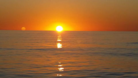 Absolute Ocean Charters - Kawana Tourism 14