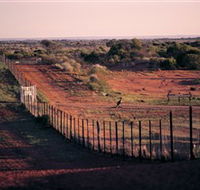 Tri State Safaris - Kawana Tourism
