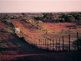 Tri State Safaris - Kawana Tourism 4