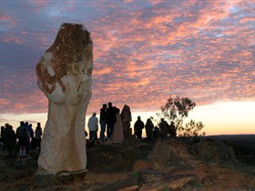 Tri State Safaris - Kawana Tourism 5