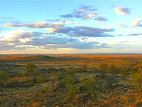 Tri State Safaris - Kawana Tourism 13
