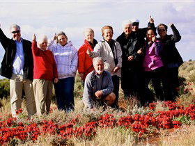 Tri State Safaris - Kawana Tourism 15